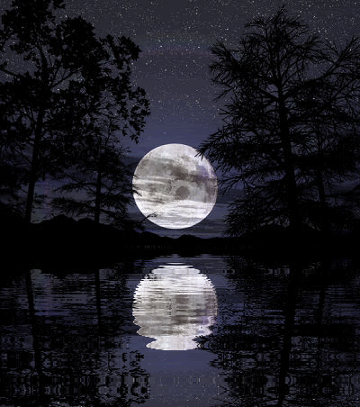 moon.gif Full Moon lake image by Ravenwaulf