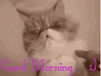 good morning Pictures, Images and Photos