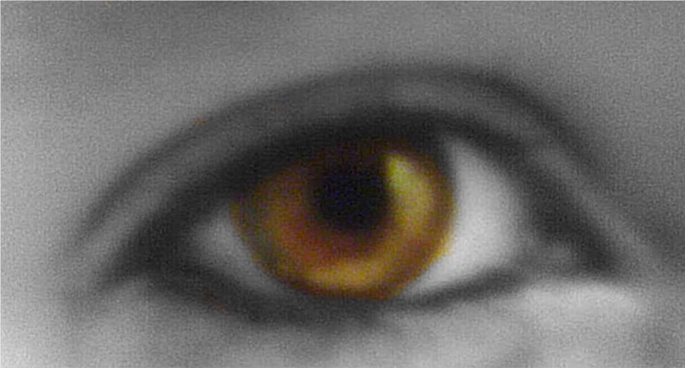eyes Pictures, Images and Photos