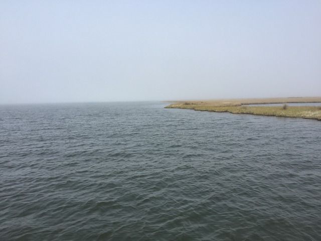 image_18.jpeg