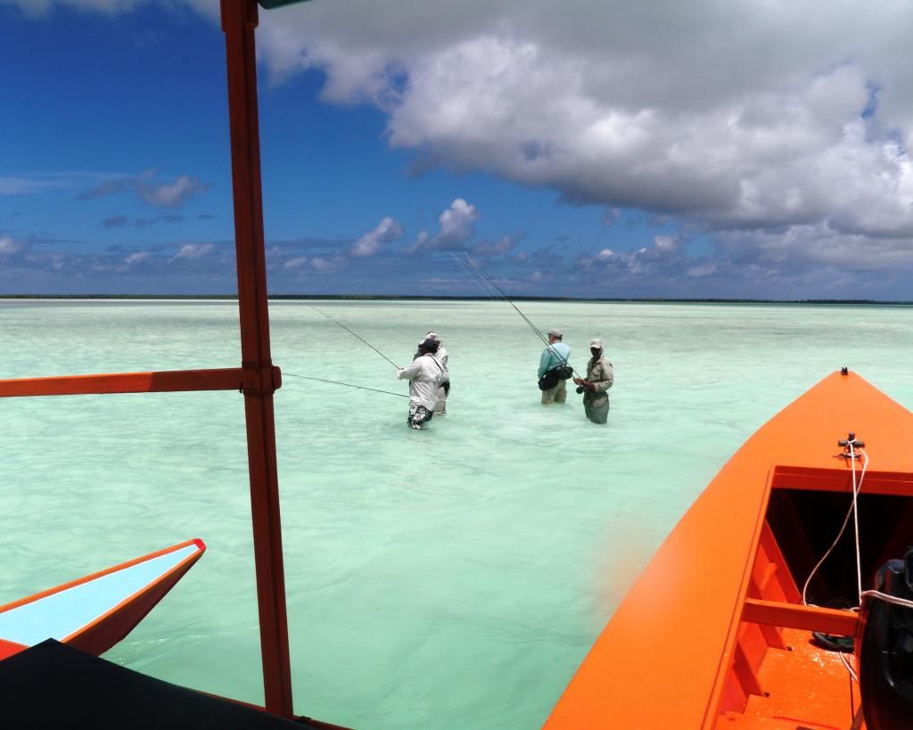 http://i567.photobucket.com/albums/ss117/livetoofish/16-boat.jpg