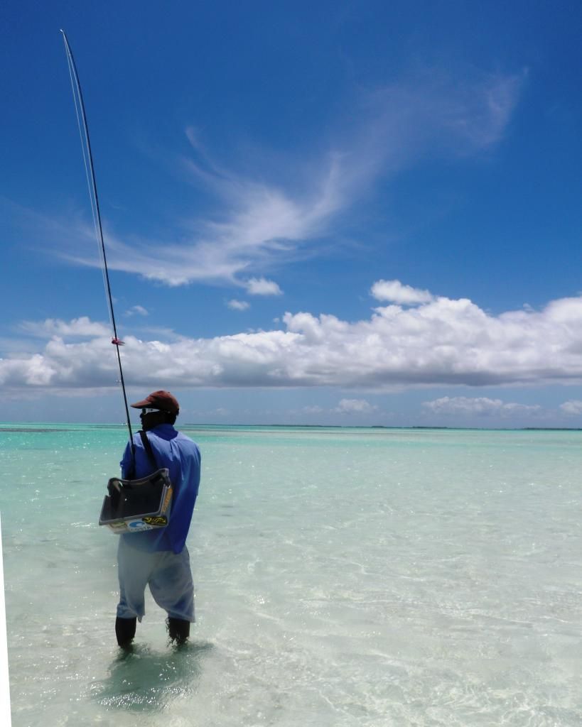 http://i567.photobucket.com/albums/ss117/livetoofish/18-flat.jpg