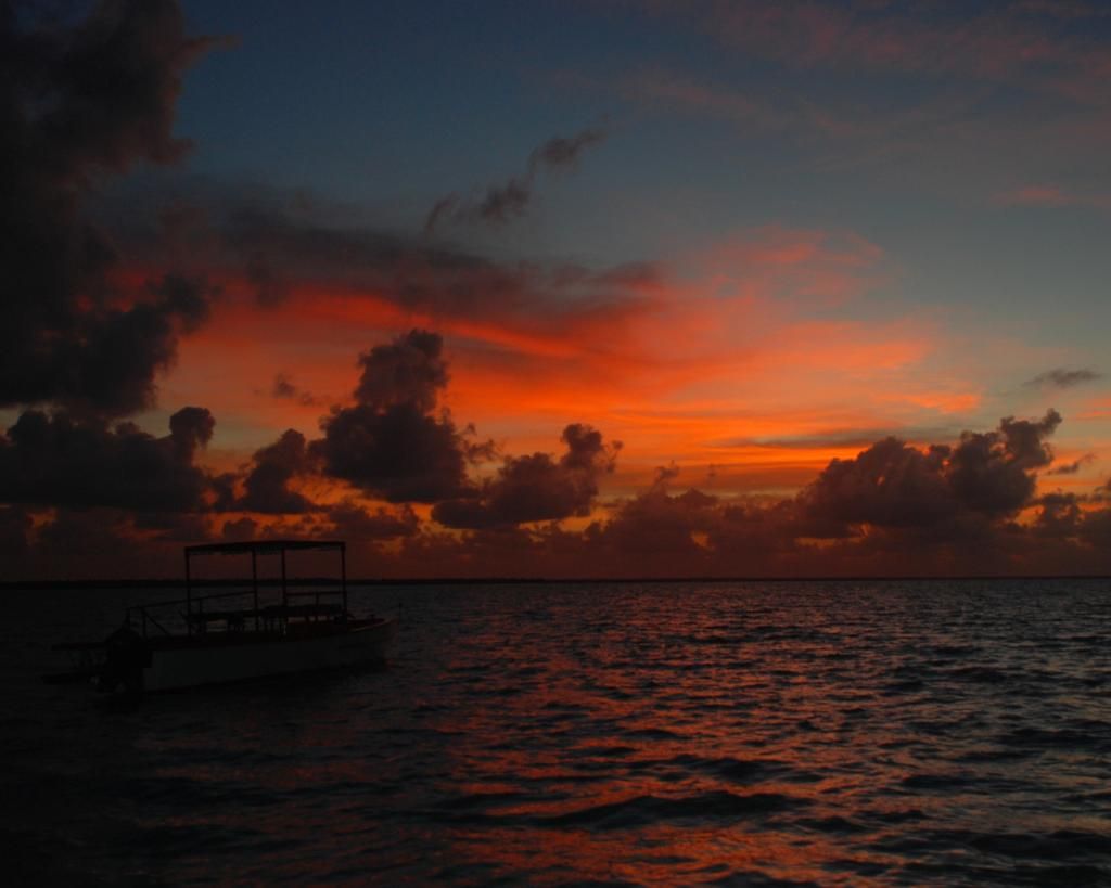http://i567.photobucket.com/albums/ss117/livetoofish/24-sunrise.jpg