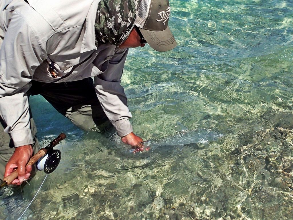 http://i567.photobucket.com/albums/ss117/livetoofish/Christmas%20Island%202013/141024x769_zps827d5685.jpg