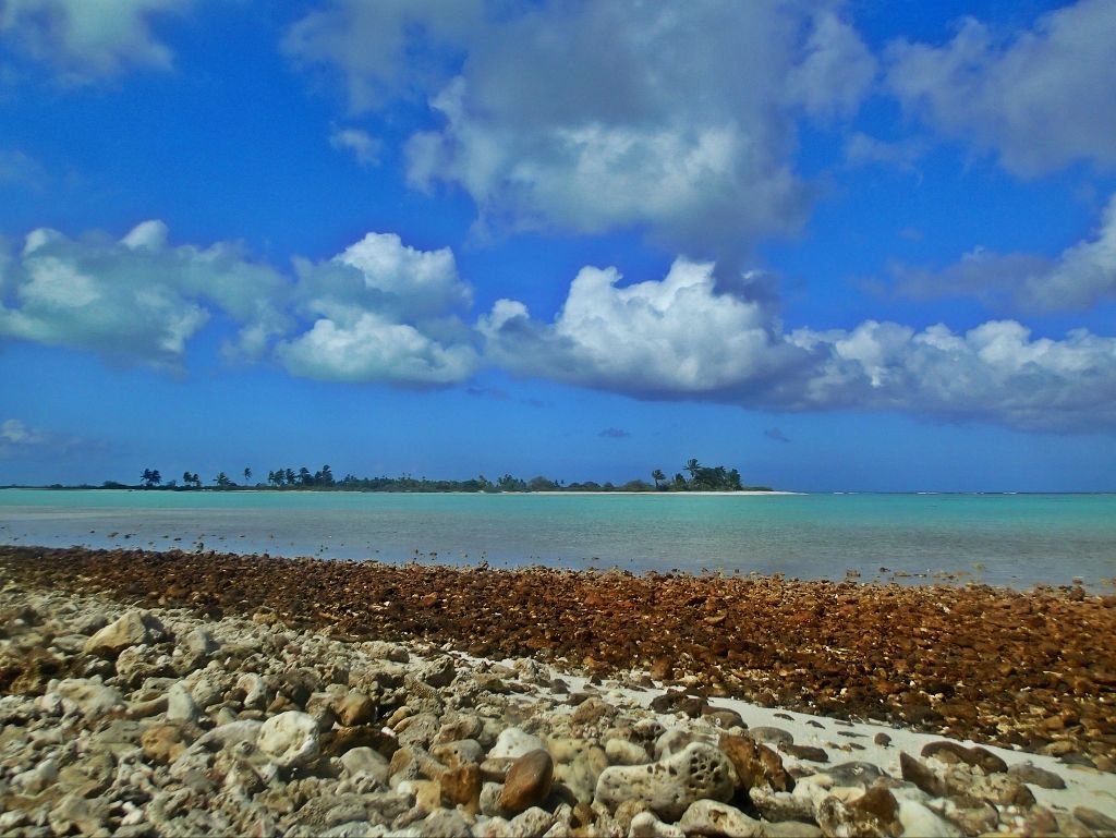 http://i567.photobucket.com/albums/ss117/livetoofish/Christmas%20Island%202013/151024x769_zps01c1f884-1.jpg