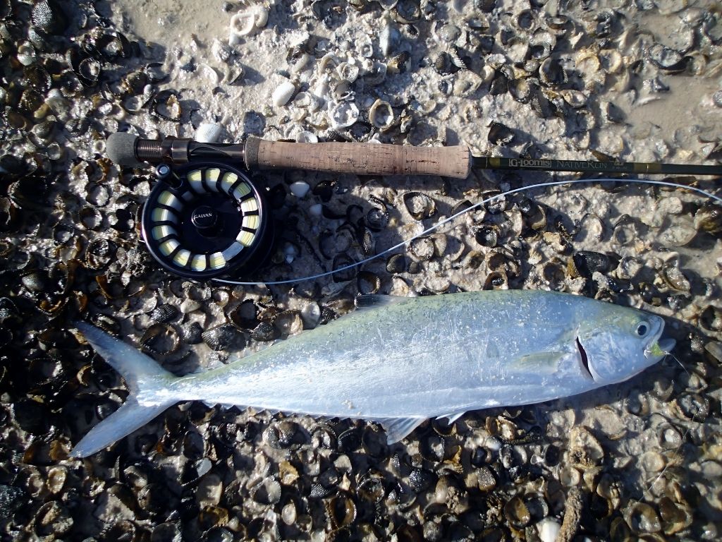http://i567.photobucket.com/albums/ss117/livetoofish/Christmas%20Island%202013/19A1024x768_zps6e67261f.jpg