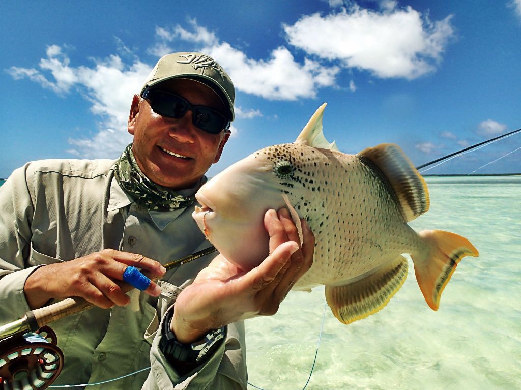 http://i567.photobucket.com/albums/ss117/livetoofish/Christmas%20Island%202013/271024x767_zps92f12679.jpg