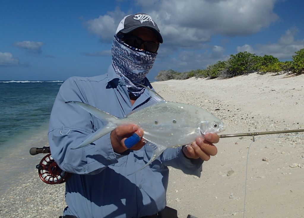 http://i567.photobucket.com/albums/ss117/livetoofish/Christmas%20Island%202013/301024x734_zpsccad5bdb-1.jpg