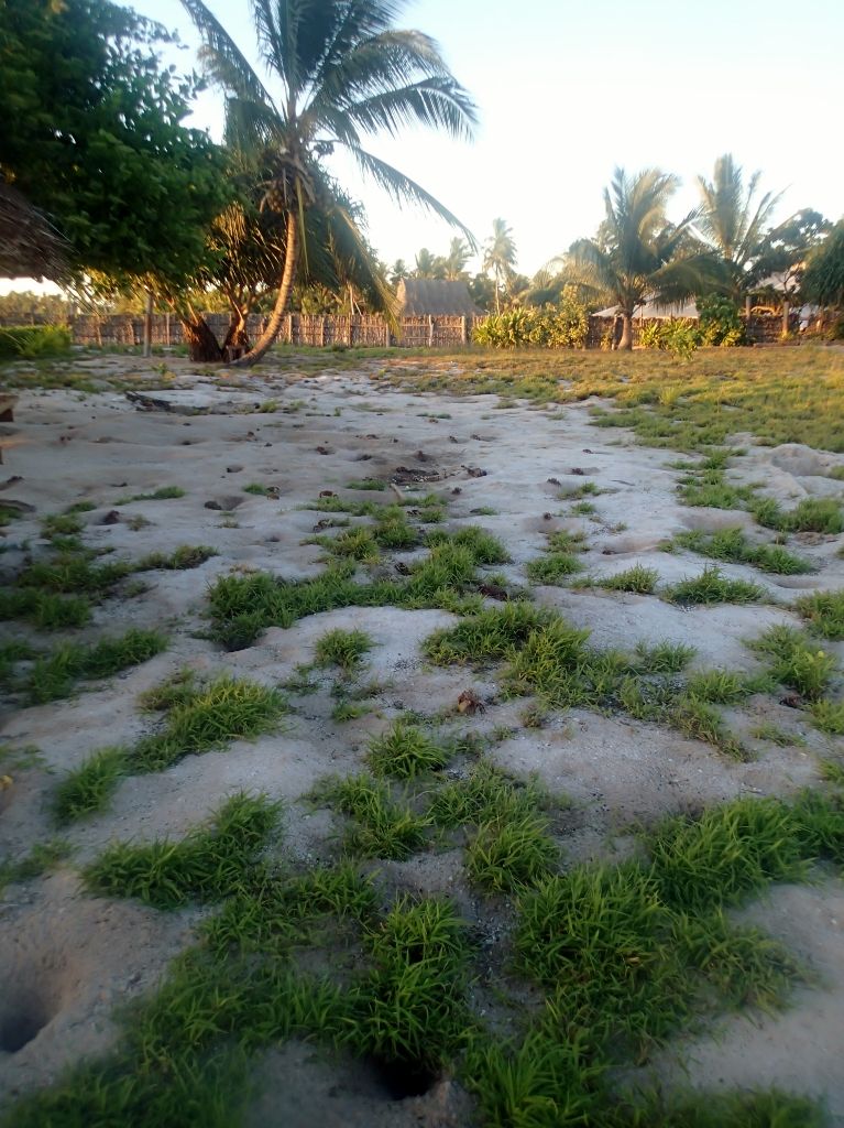 http://i567.photobucket.com/albums/ss117/livetoofish/Christmas%20Island%202013/3B767x1024_zps4d4231d4.jpg