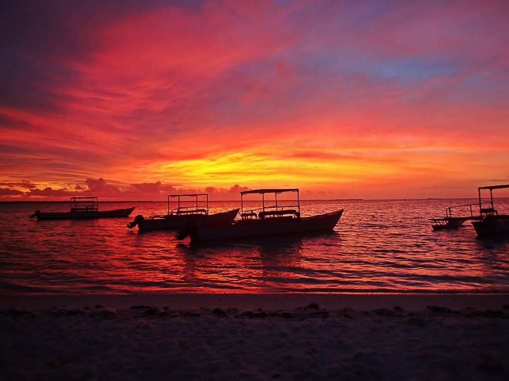 http://i567.photobucket.com/albums/ss117/livetoofish/Christmas%20Island%202013/41024x768_zpscd460b19.jpg