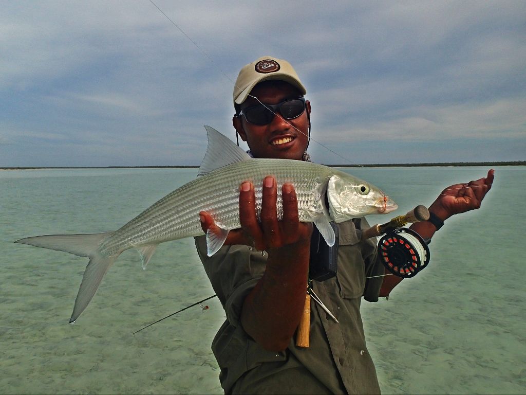 http://i567.photobucket.com/albums/ss117/livetoofish/Christmas%20Island%202013/4A1024x768_zpsa98efd5a.jpg