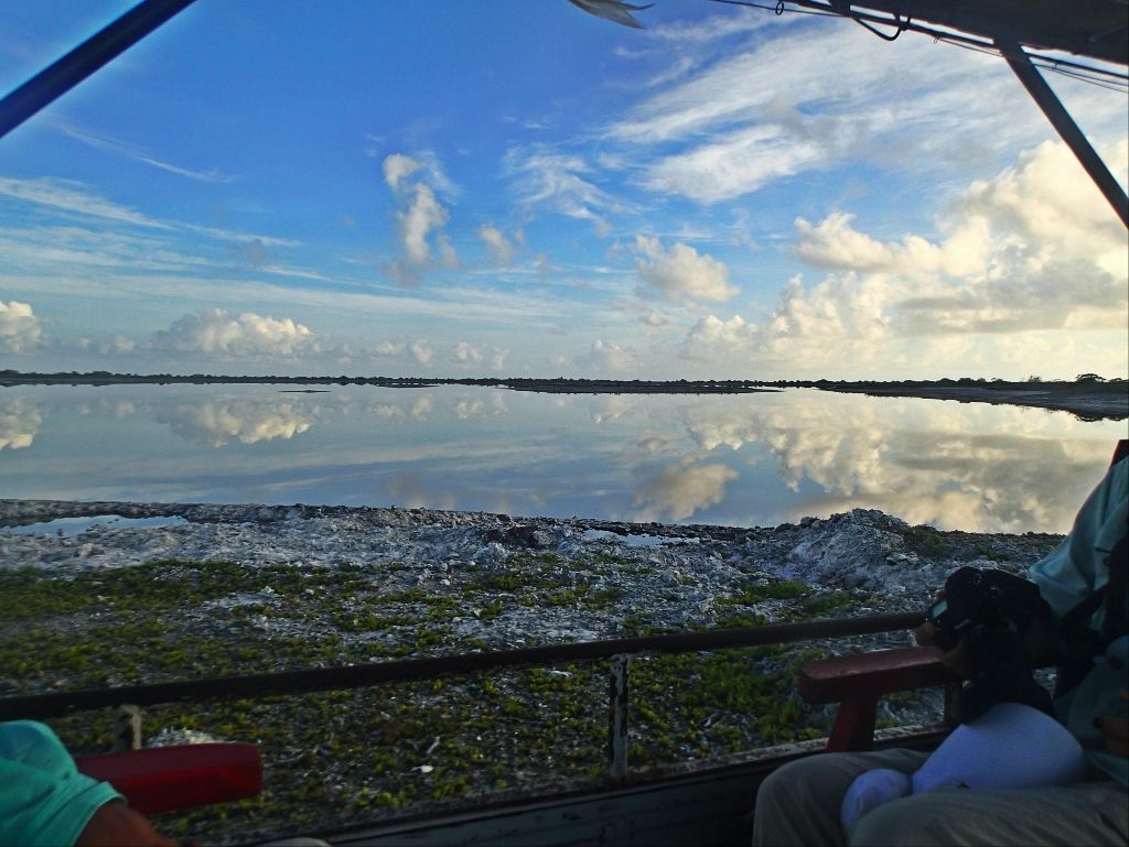 http://i567.photobucket.com/albums/ss117/livetoofish/Christmas%20Island%202013/71024x769_zpsf2ab1bf9.jpg