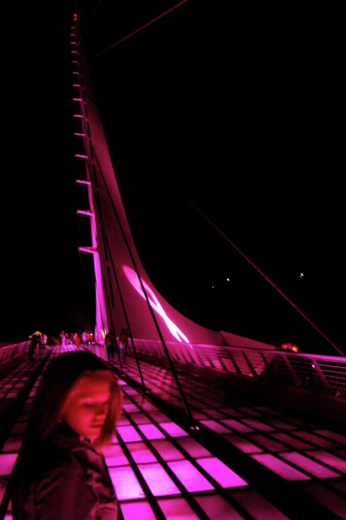 Pink Sundial Bridge Pictures, Images and Photos