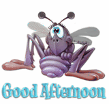 Good Afternoon Photo Picture