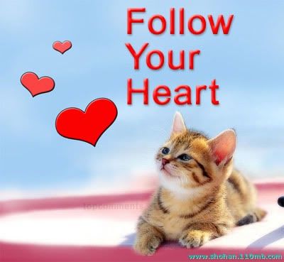 Heart Photo Picture