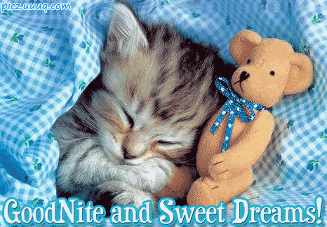 Good Night Photo Picture