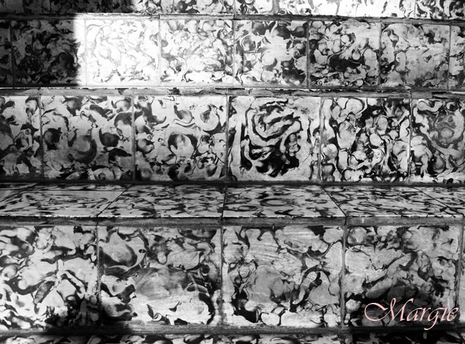 photo IMG_3644_zps4cc1e1e6.jpg