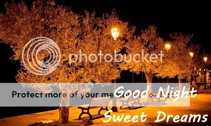 Image result for Good night animated