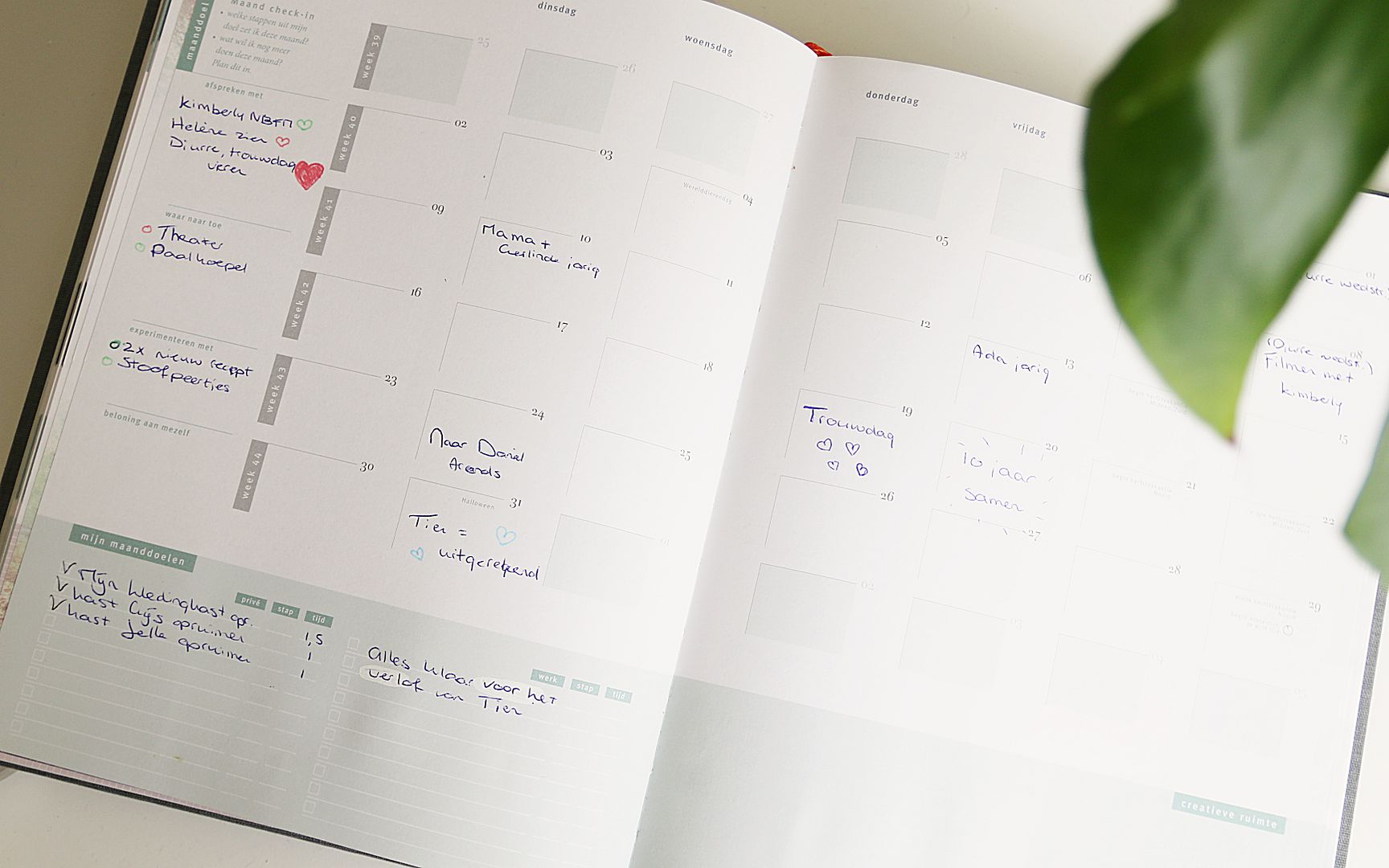 purpuz planner